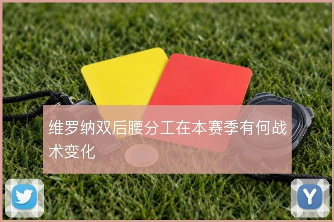 维罗纳双后腰分工在本赛季有何战术变化