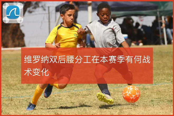 维罗纳双后腰分工在本赛季有何战术变化